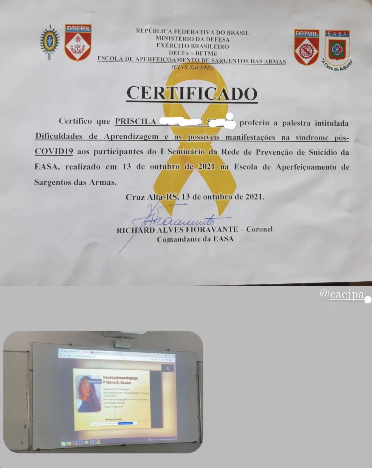 Registro de palestra profissional